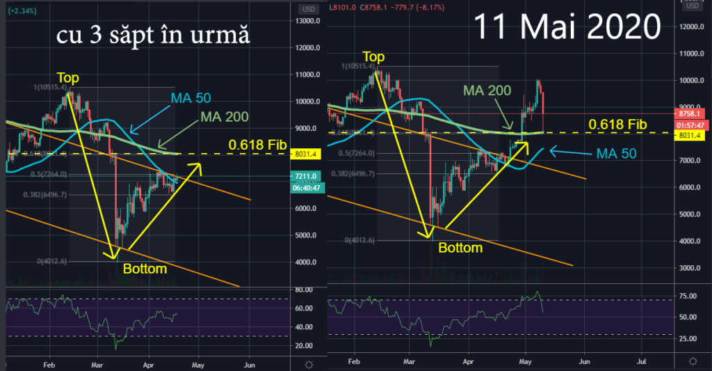 bitcoin halving